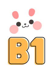 B1